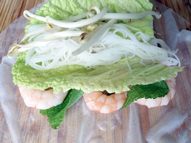 springrolls 2